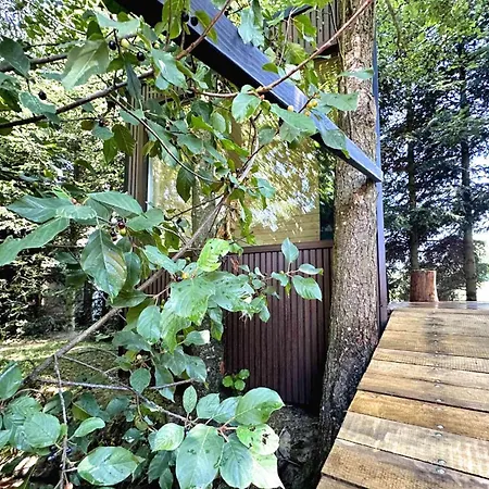 Glamping A Tent At The Confluence Vesin